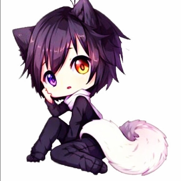 Meet your Posher, Avery - Picture 1 of 8